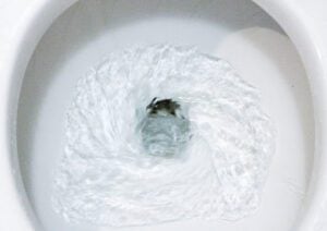Ghost Flushing: Why Does My Toilet Flush by Itself?