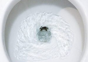 Help! My Wedding Ring Got Flushed Down the Toilet