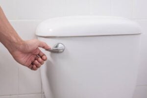Why Won't My Toilet Flush?